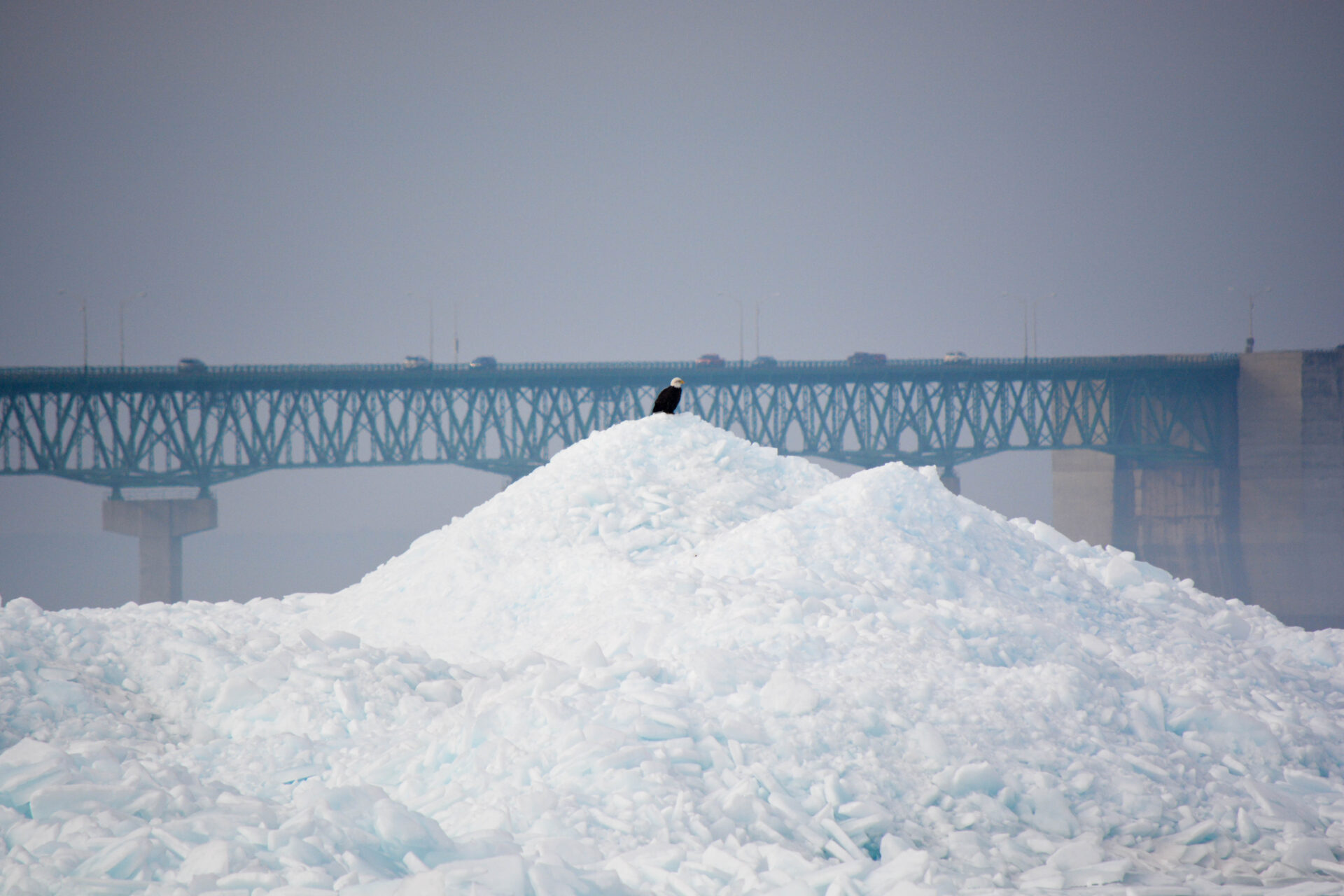 Winter Photography: Capturing the Beauty of the Cold Season